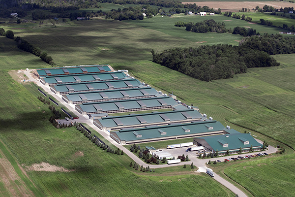 Chongqing ClearView Innovations Group Co.,Ltd